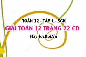 Giải Toán 12 trang 72 tập 1 Cánh Diều